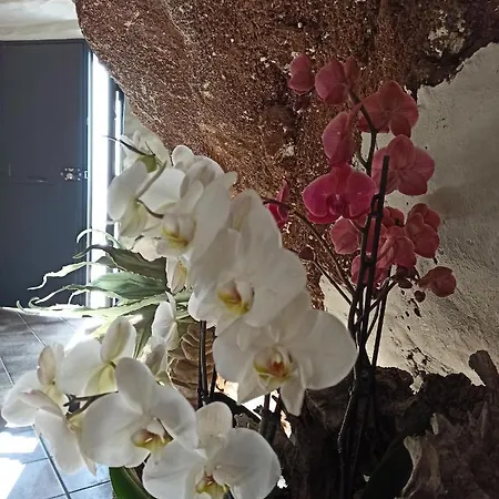 Alvarado Loft Rural Lejlighed